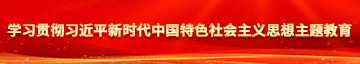 日比流水站学习贯彻习近平新时代中国特色社会主义思想主题教育